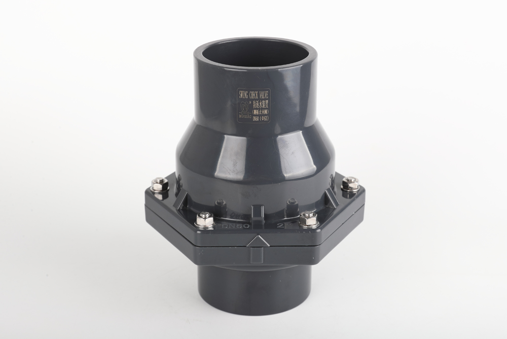 泾县翻板式止回阀