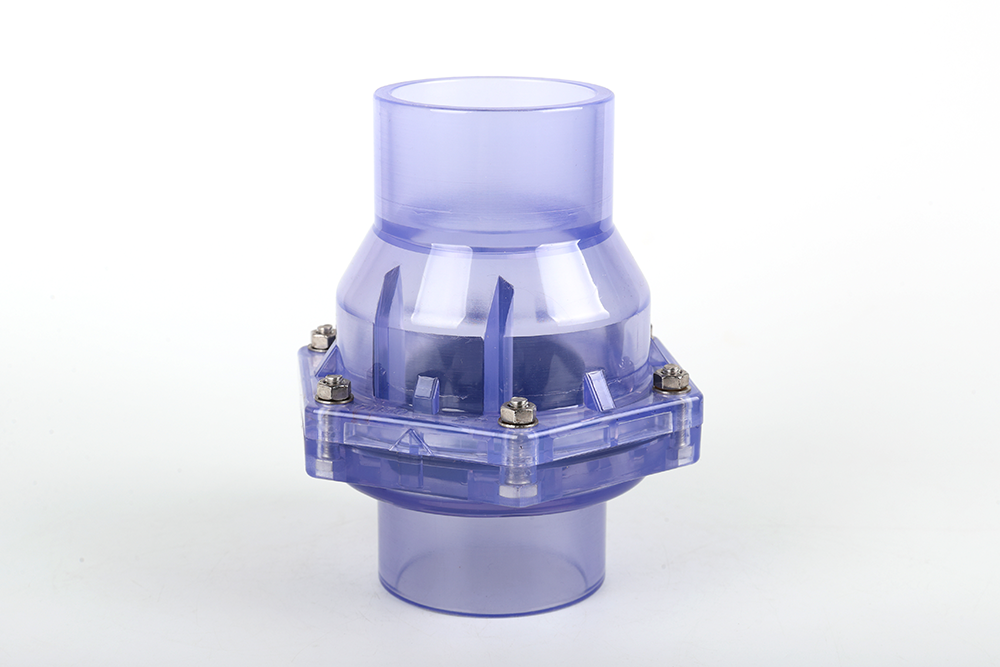 泾县透明翻板式止回阀